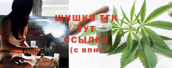 шишки Баксан