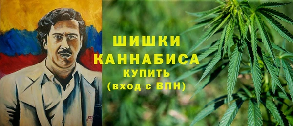 шишки Баксан
