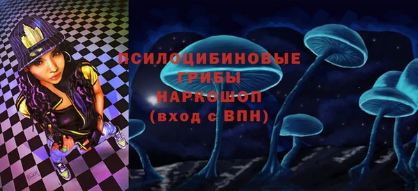 шишки Баксан