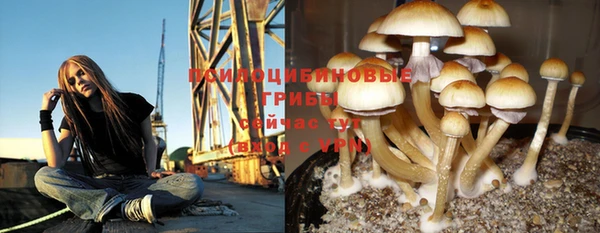 первитин Краснотурьинск