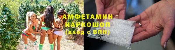 шишки Баксан