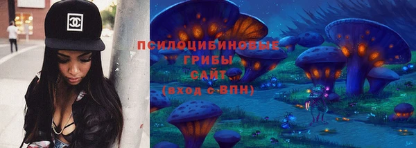 шишки Баксан