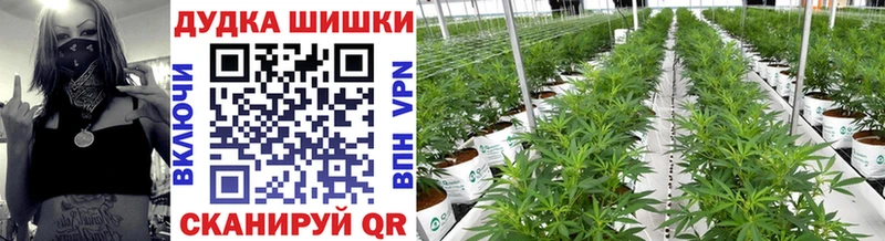 дарнет шоп Верхнеуральск Конопля планчик